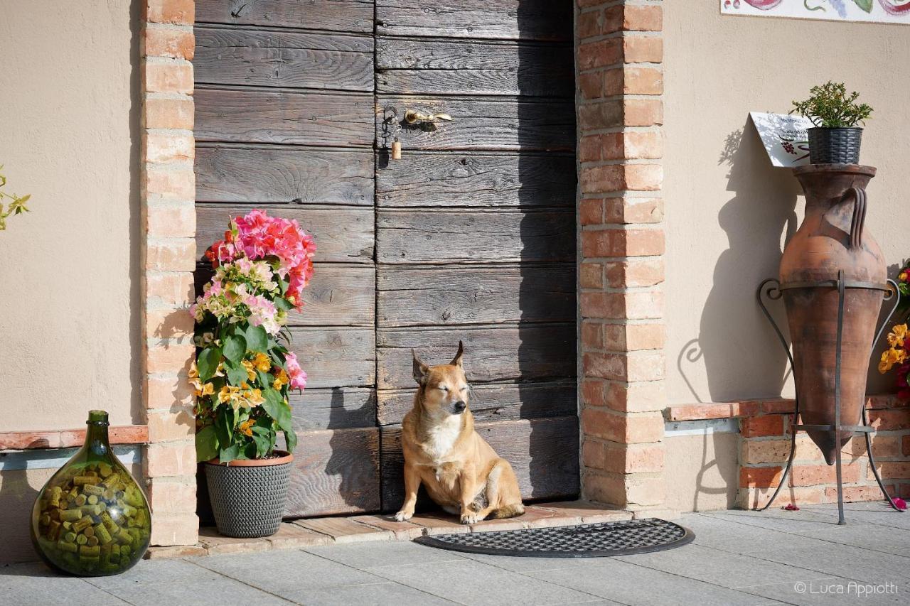 Agriturismo Cascina Sciulun Monforte D'Alba Ngoại thất bức ảnh